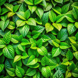 Similar image 22487787