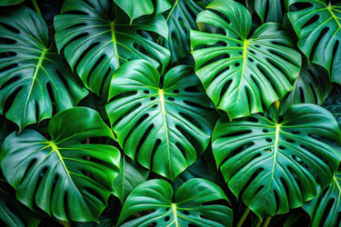 Similar image 22487816