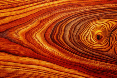 Similar image 22490769