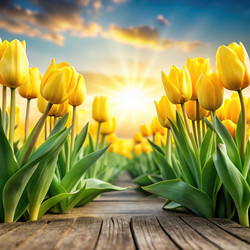 Similar image 22486843