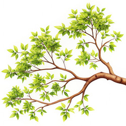 Similar image 22490987