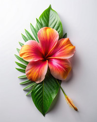 Similar image 22478553