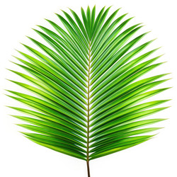 Similar image 22486785