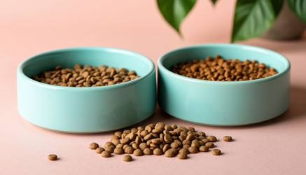 Similar image 22479680