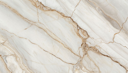 Similar image 22479606