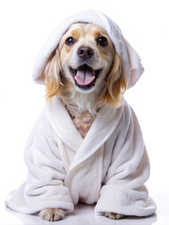 Similar image 22487819