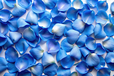 Similar image 22488025