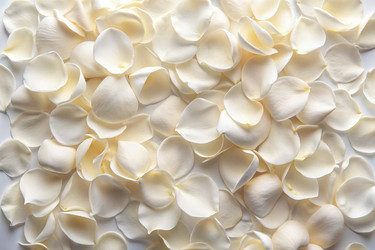 Similar image 22488104