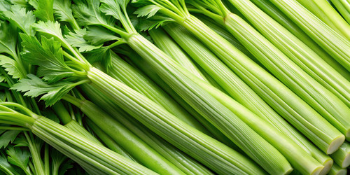 Similar image 22487871