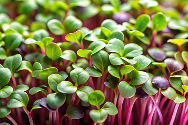 Similar image 22490695