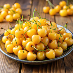 Similar image 22487056