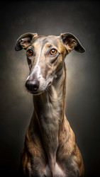 Similar image 22487262