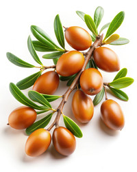 Similar image 22487547