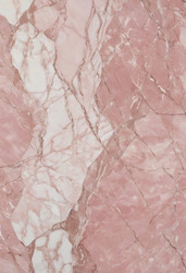 Similar image 22579719