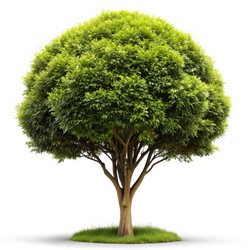 Similar image 22490893