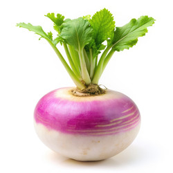 Similar image 22491301