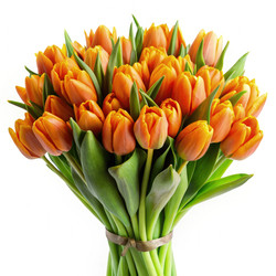 Similar image 22491755