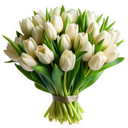 Similar image 22491784