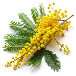 Similar image 22491843