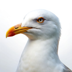 Similar image 22487578