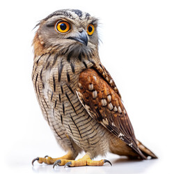 Similar image 22487592