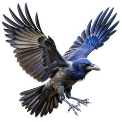 Similar image 22488085