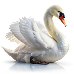 Similar image 22487474