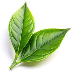 Similar image 22487685