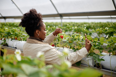 Similar image 22527908