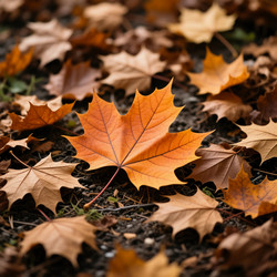 Similar image 22594249