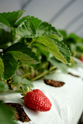 Similar image 22527784