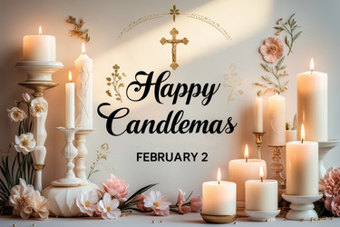 Similar image 22493806