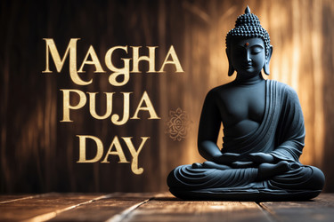 Similar image 22497238