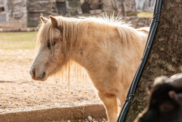 Similar image 22493793