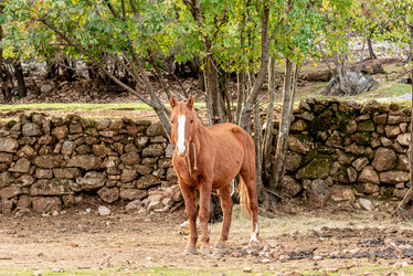 Similar image 22493808