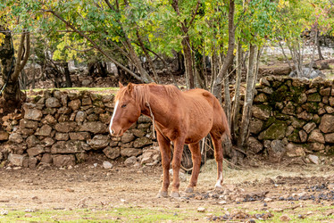 Similar image 22497133