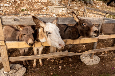 Similar image 22497162