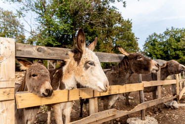 Similar image 22497194