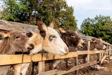 Similar image 22497207