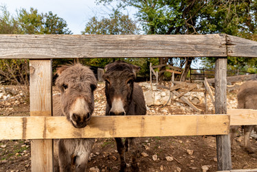 Similar image 22497239