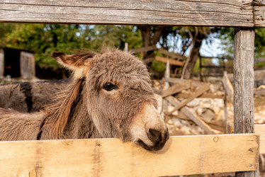 Similar image 22497488