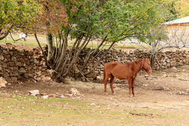 Similar image 22497505