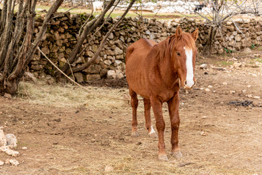 Similar image 22497531