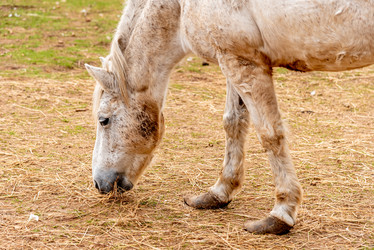 Similar image 22499656