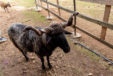 Similar image 22492665