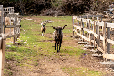 Similar image 22492682