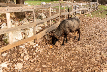 Similar image 22492727