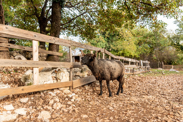 Similar image 22492757