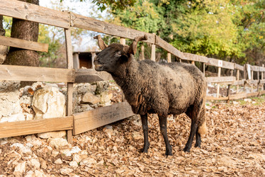 Similar image 22492771