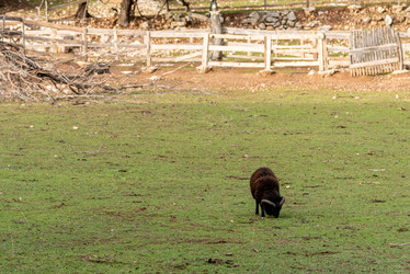 Similar image 22492831